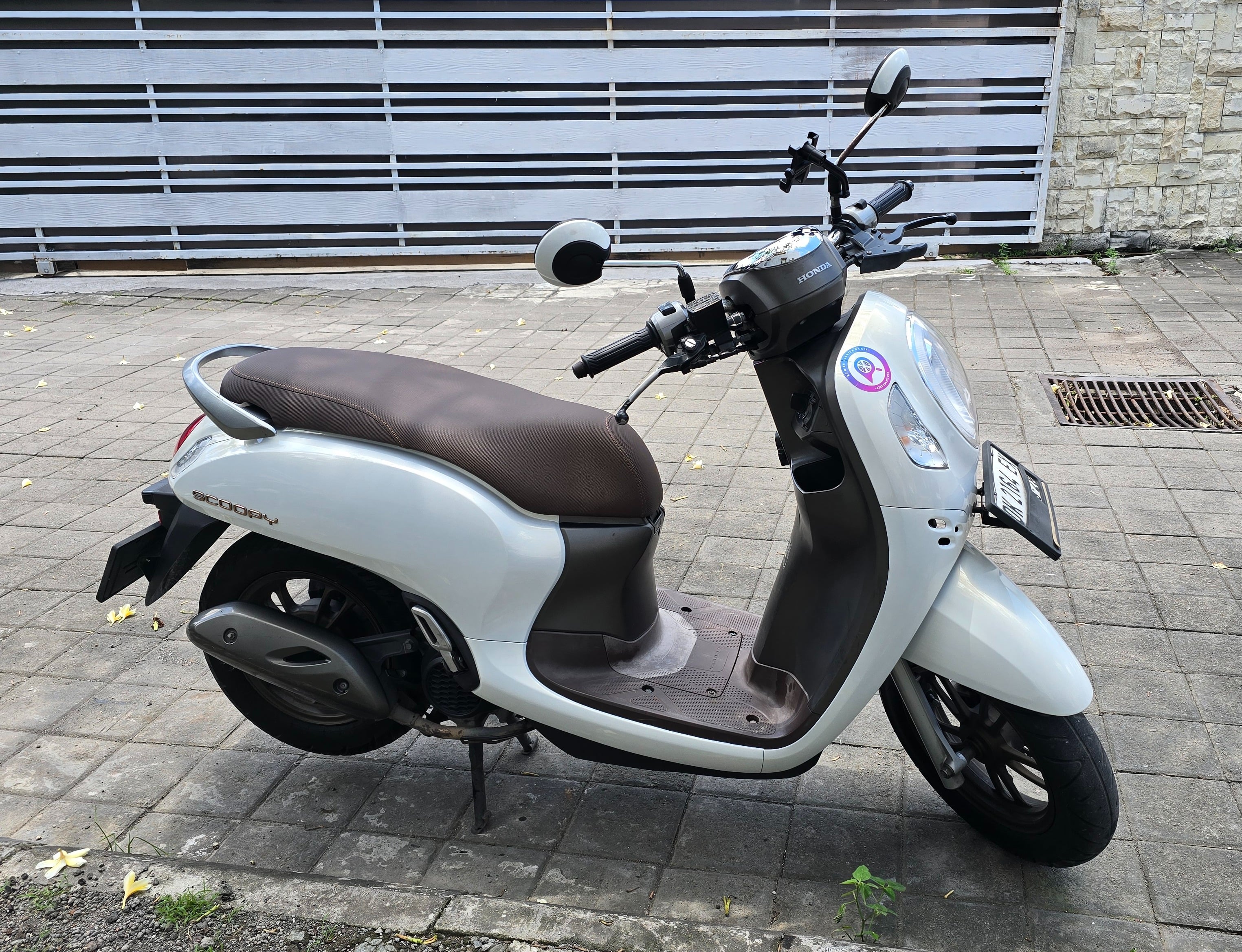 Honda Scoopy 110 — أبيض — 1